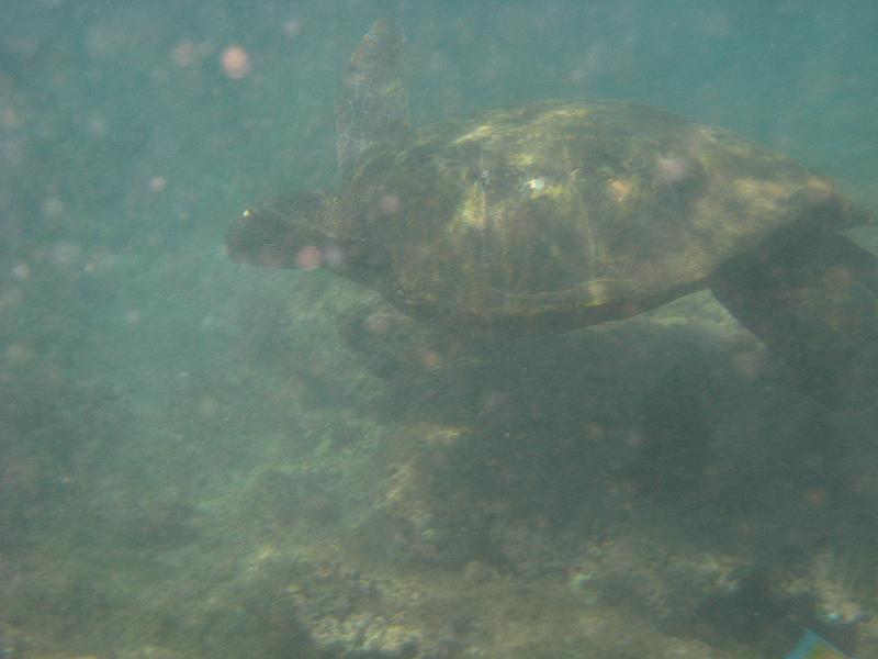 Picture 097